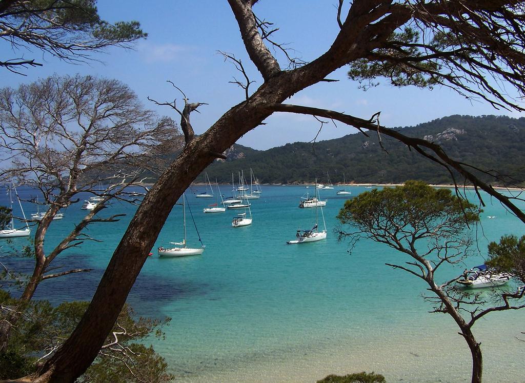 Le Cube Hotel Design A Hyeres Plage Avec Piscine Et Cuisine エクステリア 写真